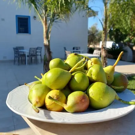 A Casa Di Giuseppe * Sant Isidoro (Apulia)