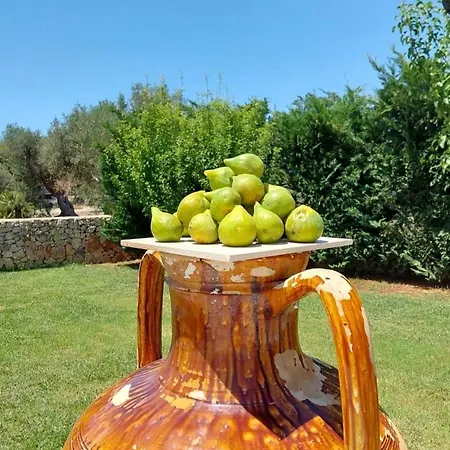 A Casa Di Giuseppe 招待所 3*